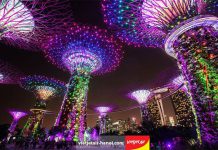 5 lí do bạn nên du lịch tại Singapore vào mùa giáng sinh